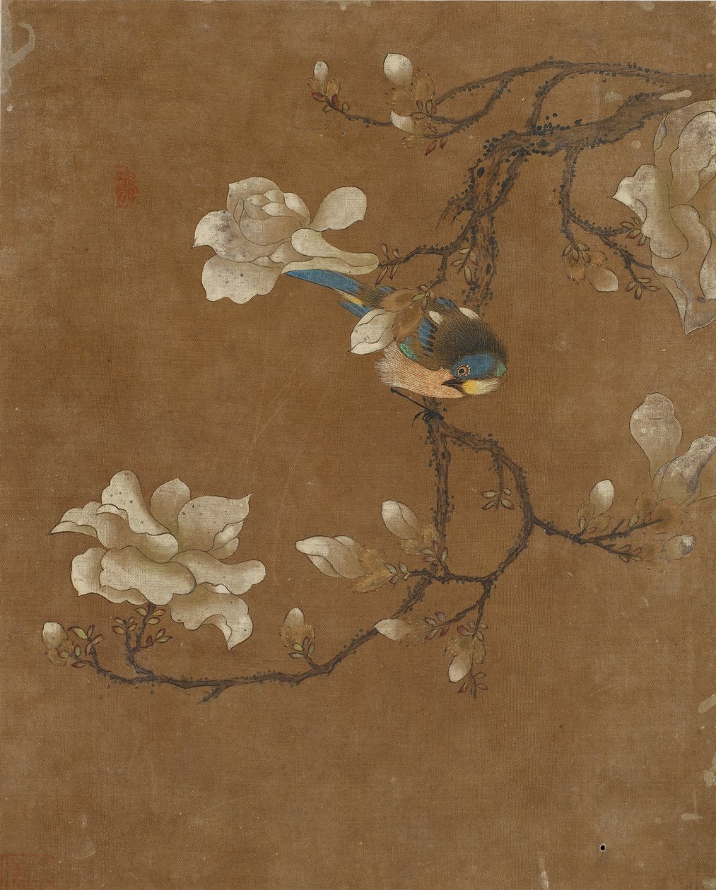鸟和花的十张照片（丝绸上的颜色） 作者 明代中文学校