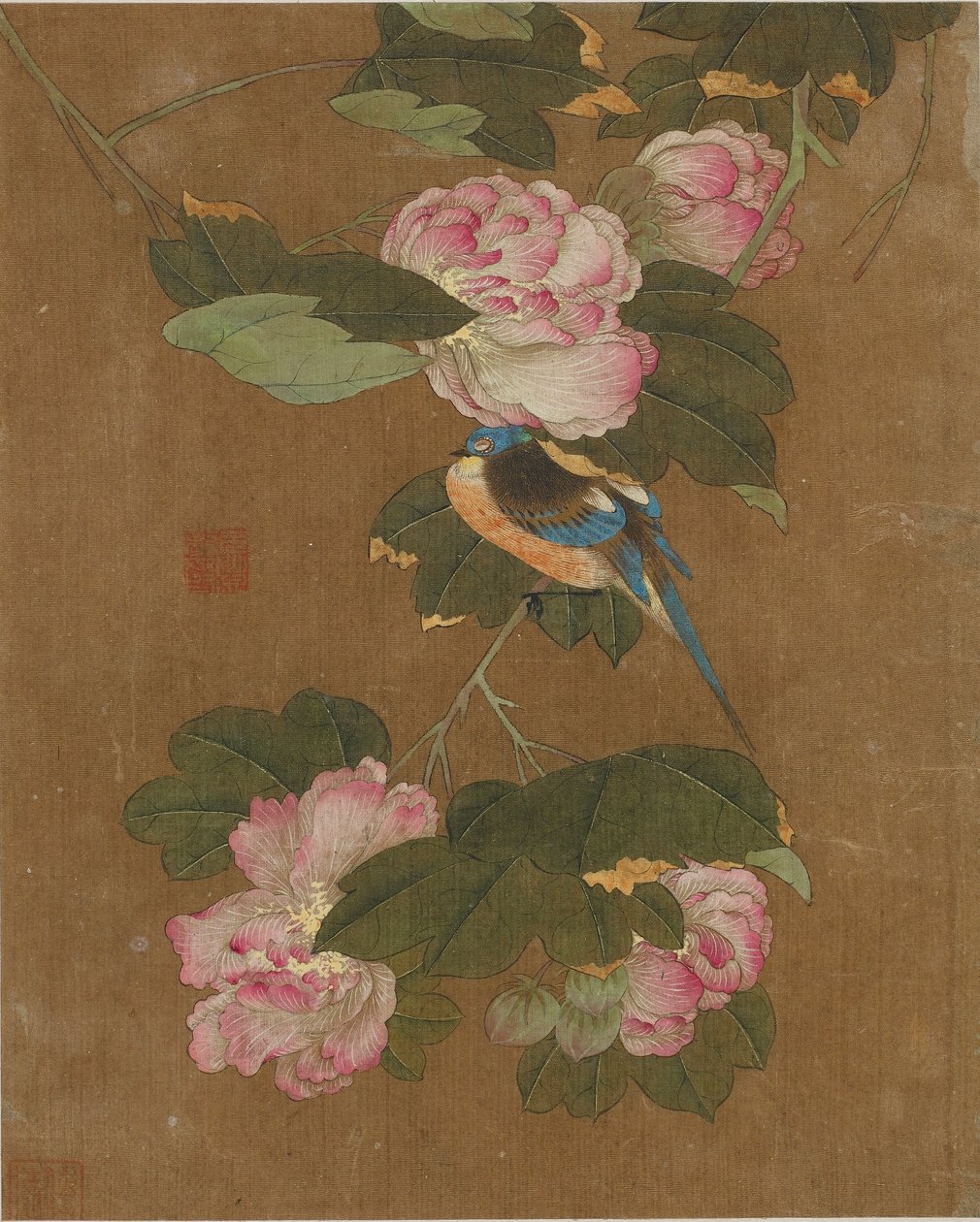 鸟和花的十张照片（丝绸上的颜色） 作者 明代中文学校