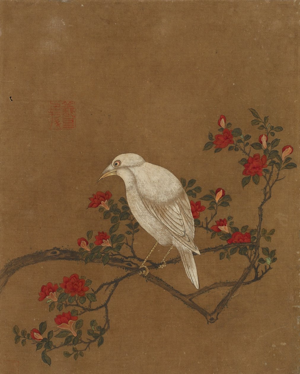 鸟和花的十张照片（丝绸上的颜色） 作者 明代中文学校