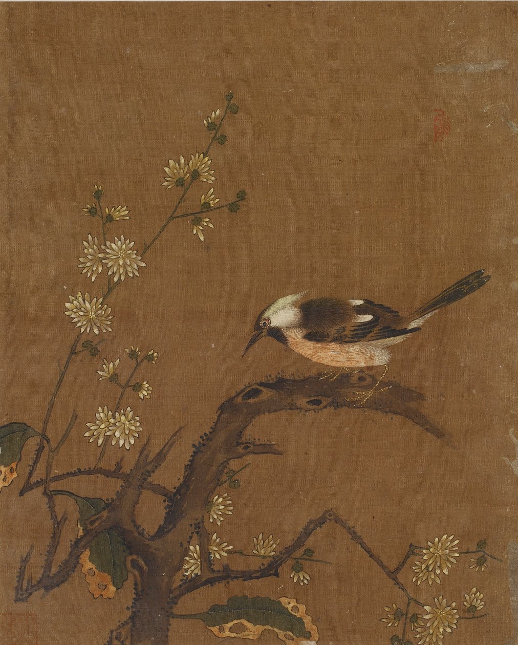 鸟和花的十张照片（丝绸上的颜色） 作者 明代中文学校