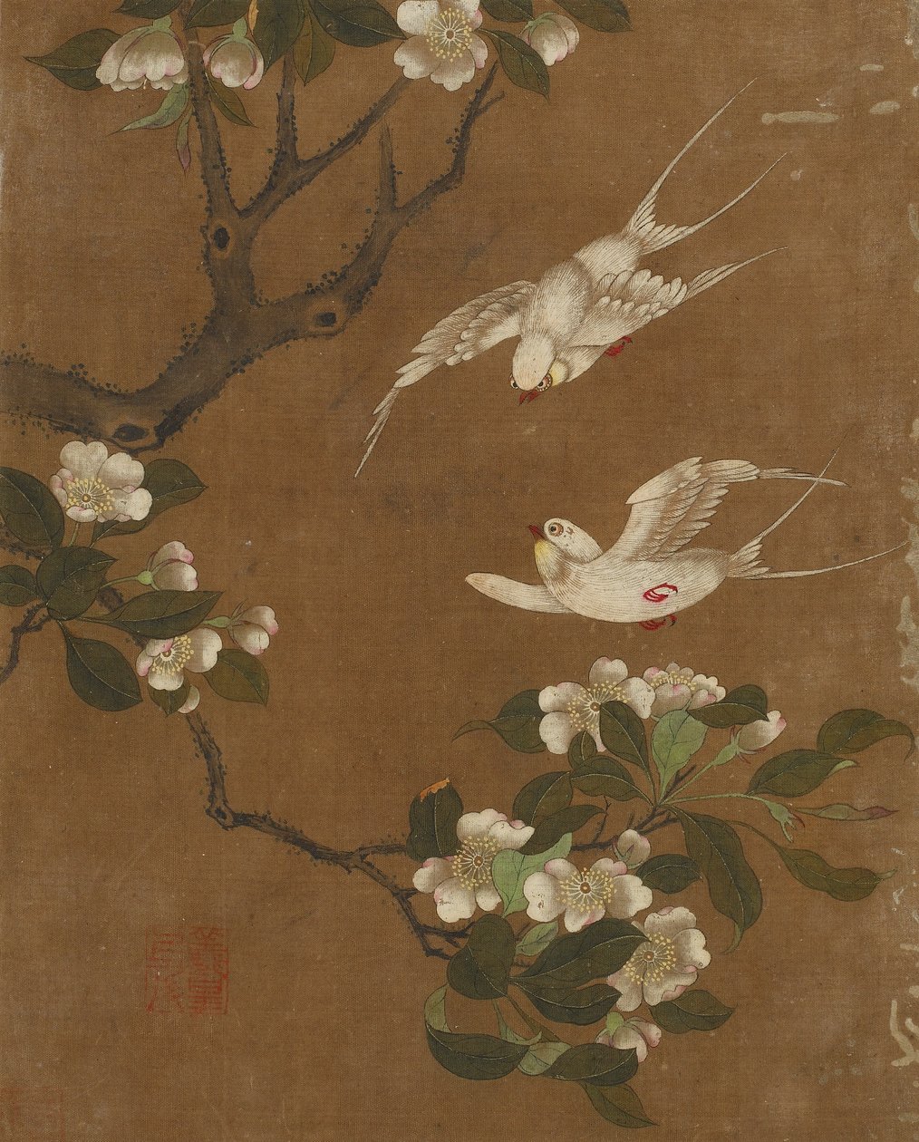 鸟和花的十张照片（丝绸上的颜色） 作者 明代中文学校