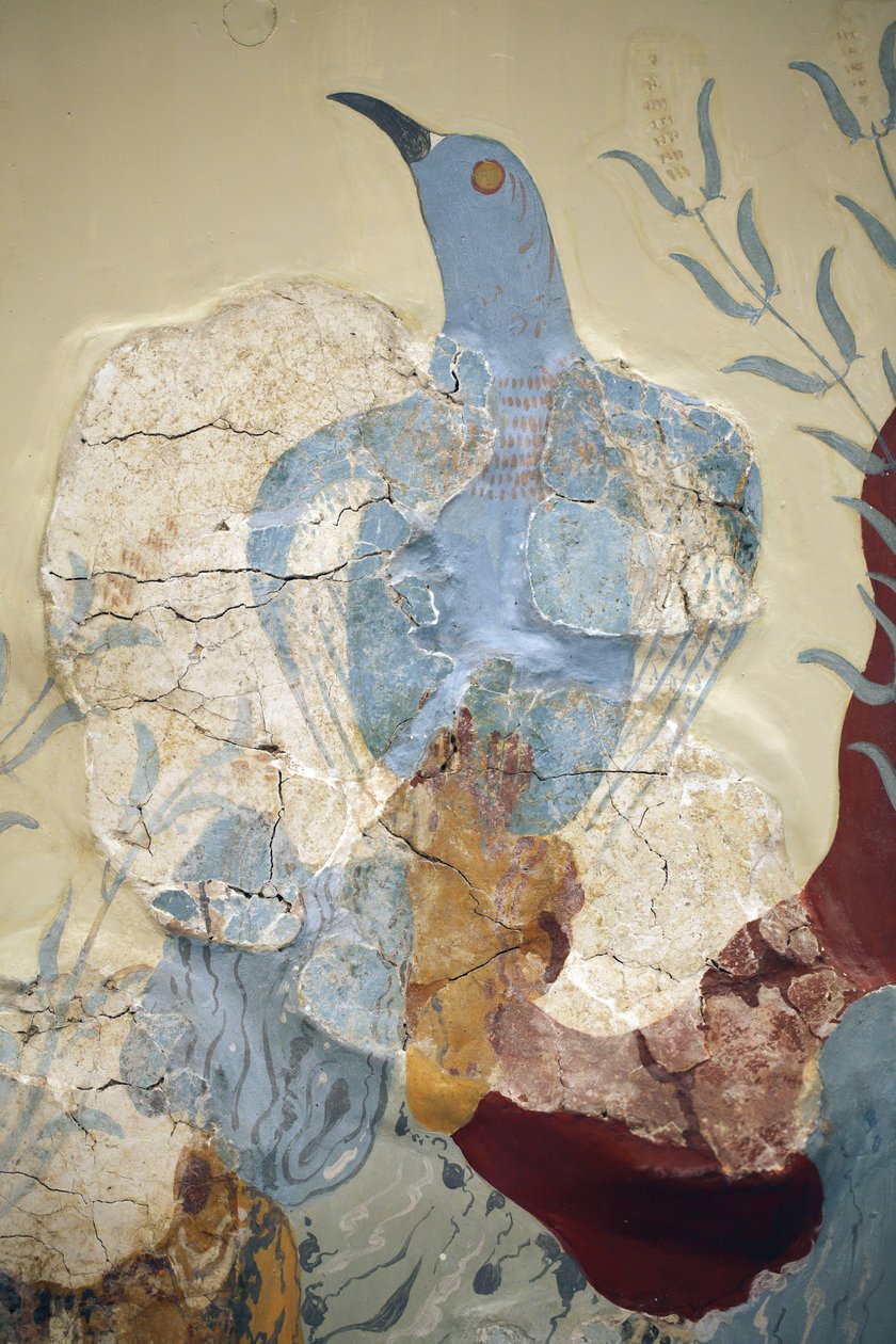 Minoen art. Detail of the “” Blue bird” Fresco or “” The blue bird of crete””. One of the earliest and most important paintings from the so-called ç House of Frescoes è at Knossos is that of the ç Blue Bird è. It is very fragmentary and most certainly belo 作者 美浓