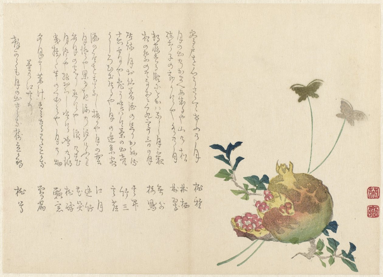 石榴 作者 三宅荣卫