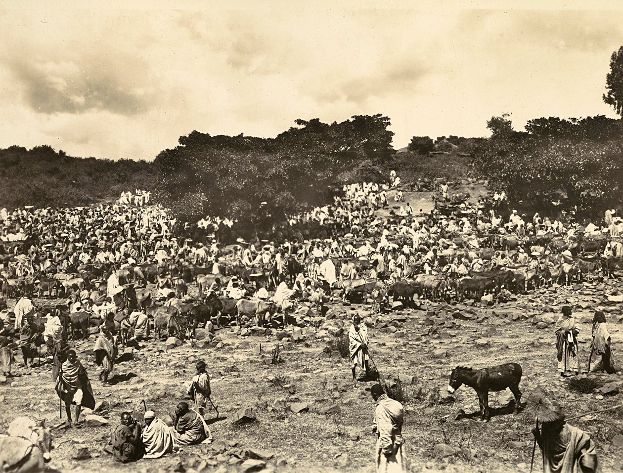 在法西斯时代建立一个帝国。阿比西尼亚市场，1936年5月9日（黑白照片）。 作者 莫迪斯蒂诺·巴尔迪内蒂