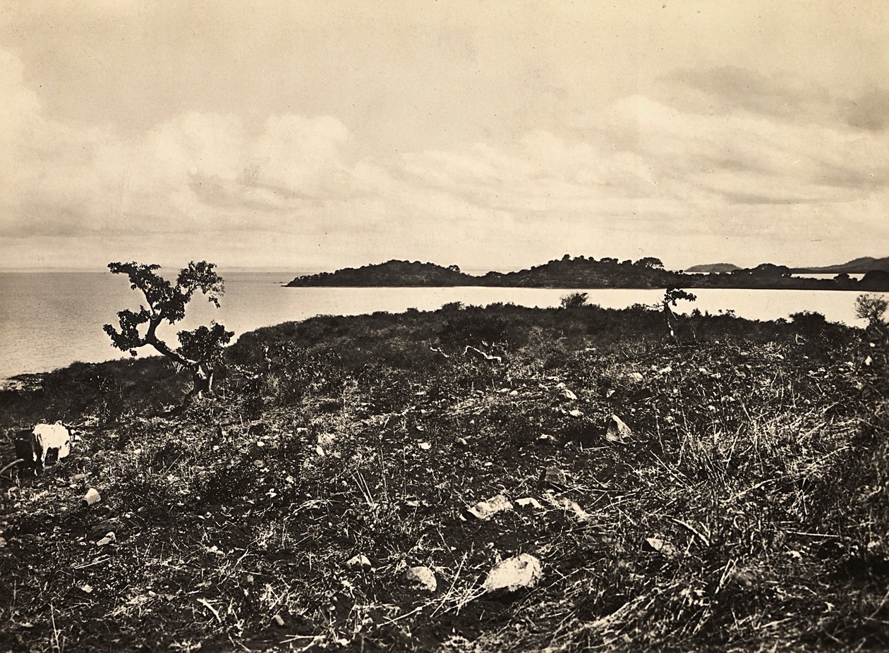 Building an Empire in the Fascist age: Lake Tana. Ethiopia, 09/05/1936 (b/w photo) 作者 莫迪斯蒂诺·巴尔迪内蒂