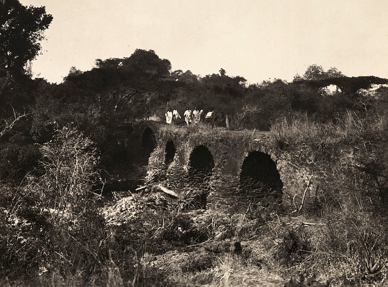 Building an Empire in the Fascist age: Portuguese bridge, 09/05/1936 (b/w photo) 作者 莫迪斯蒂诺·巴尔迪内蒂
