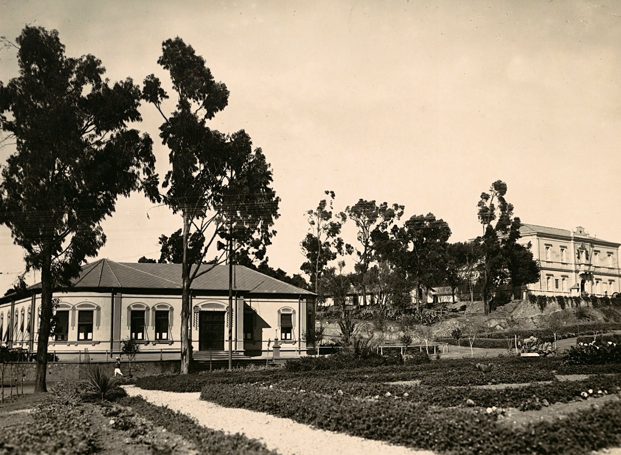 在法西斯时代建立一个帝国：阿斯马拉的官员圈子，1936年5月9日（黑白照片）。 作者 莫迪斯蒂诺·巴尔迪内蒂
