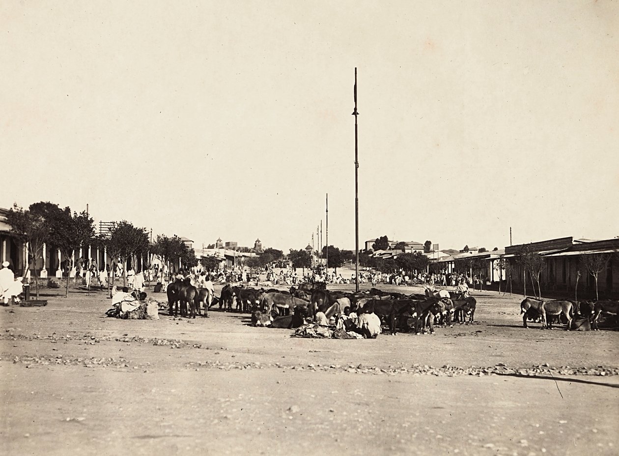 在法西斯时代建立一个帝国：阿斯马拉的古老市场广场，1936年5月9日（黑白照片）。 作者 莫迪斯蒂诺·巴尔迪内蒂