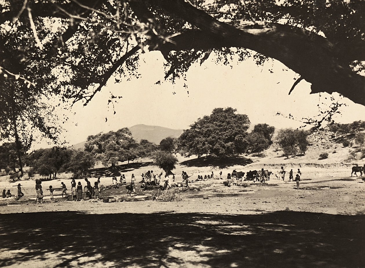 在法西斯时代建立一个帝国：下层平原的水井，1936年5月9日（黑白照片）。 作者 莫迪斯蒂诺·巴尔迪内蒂