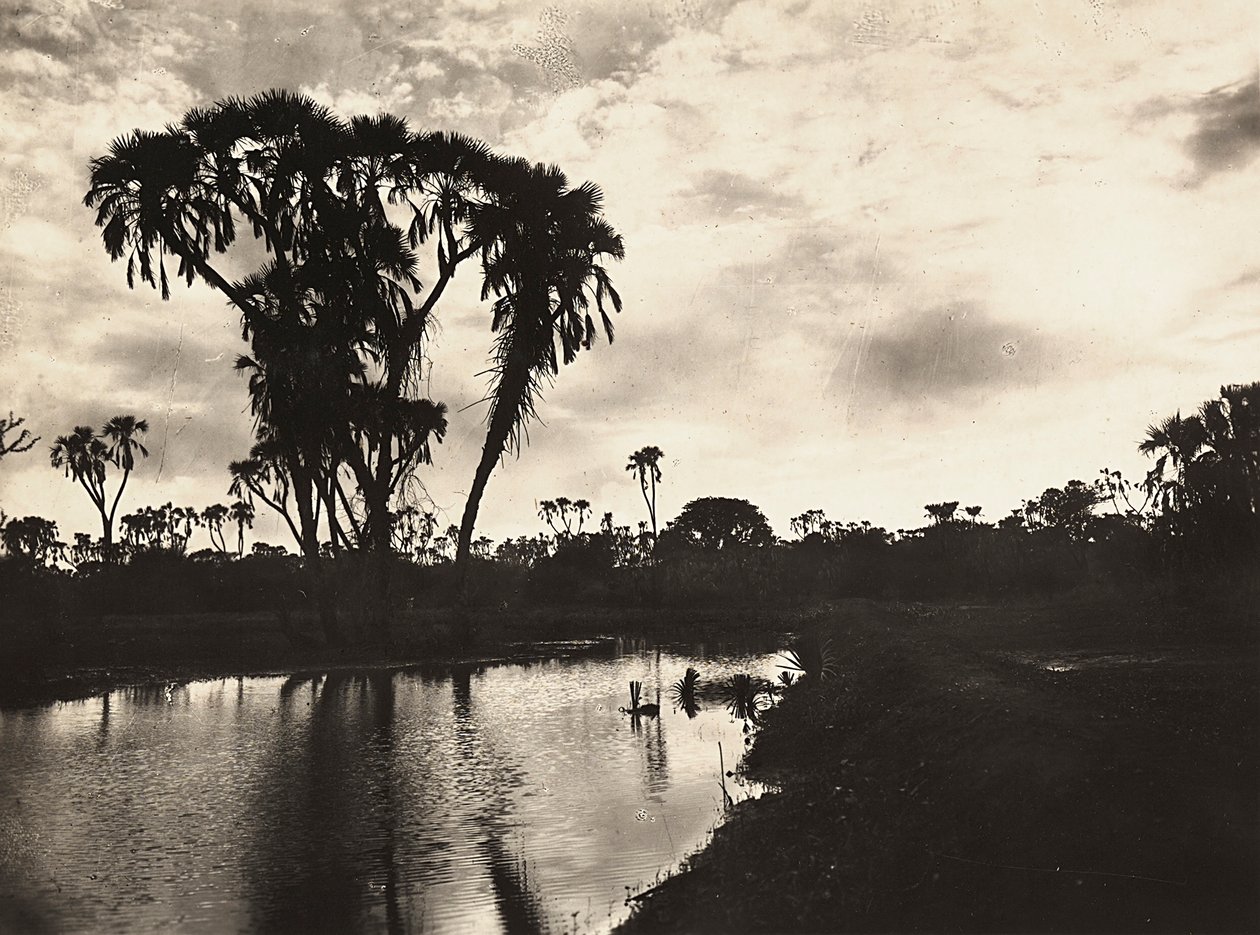 Building an Empire in the Fascist age: western lower plain, 09/05/1936 (b/w photo) 作者 莫迪斯蒂诺·巴尔迪内蒂