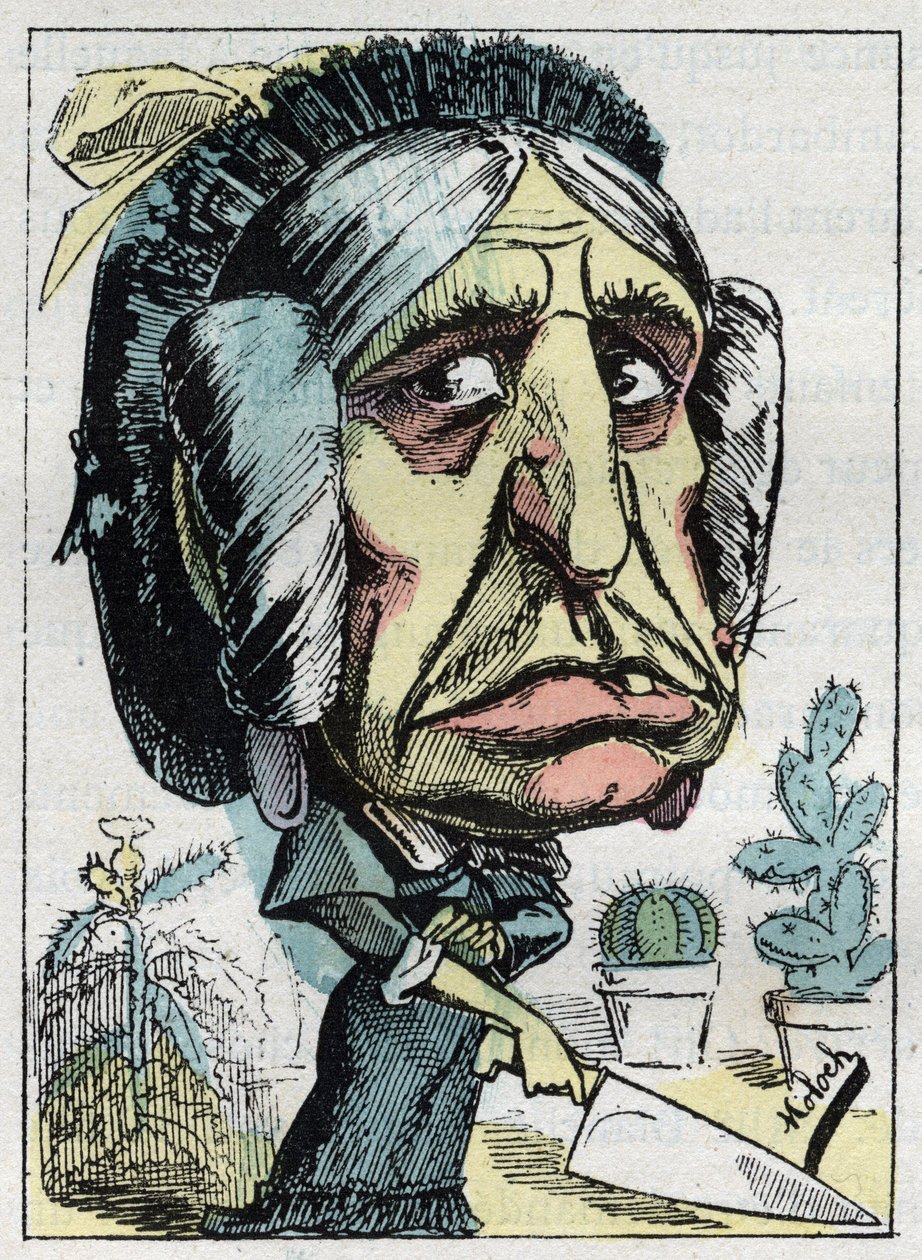 Touchatout的 "Le Trombinoscope "中 "继母"（Belle mere）的寓意，B. Moloch于1882年创作的漫画（1849-1909）。私人收藏。 作者 主宰