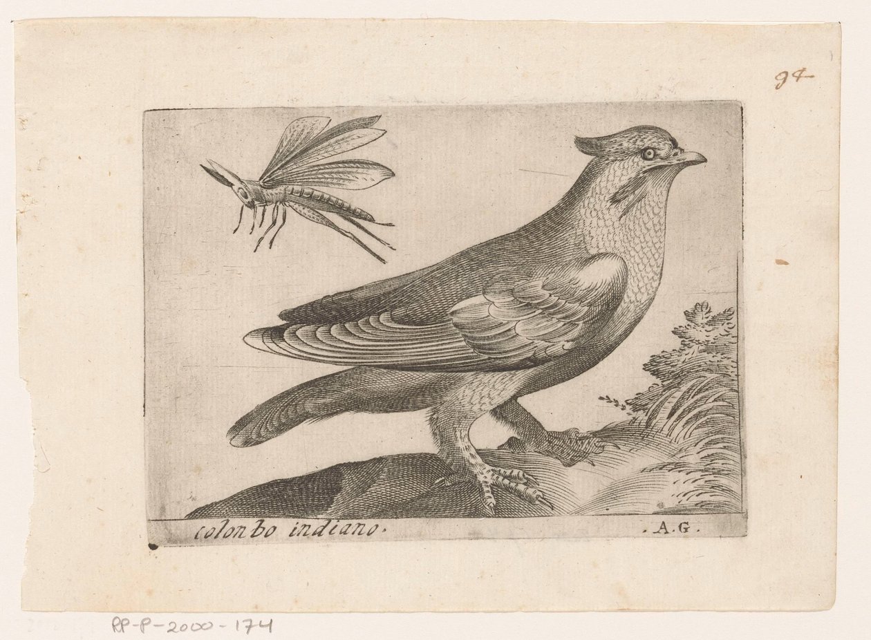 Pestvogel (Bombycilla garrulus)
殖民地（物体上的标题）
Vogels（系列名称） 作者 字母组合公司