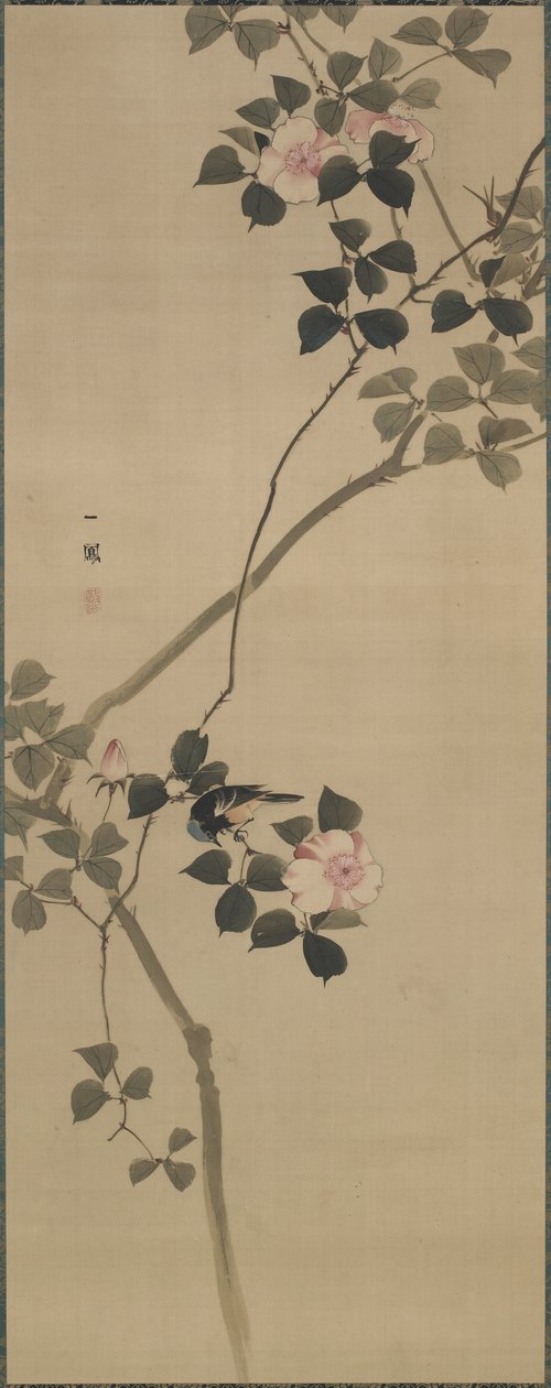 野生玫瑰和鸟，江户时代，1615-1868（丝绸上的颜色） 作者 森一波