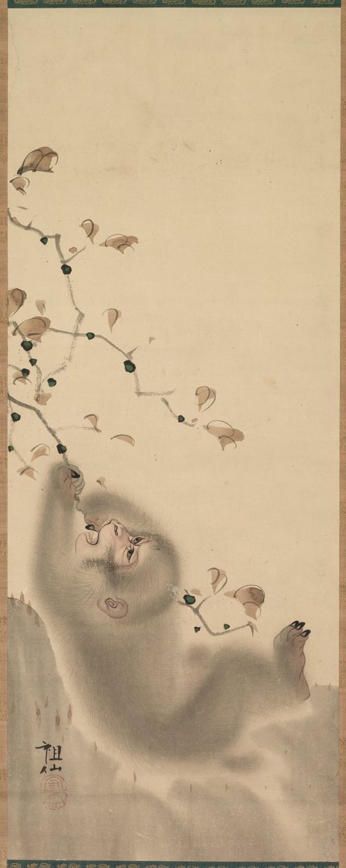 猴子挂在树枝上，1780年。 作者 森创泉
