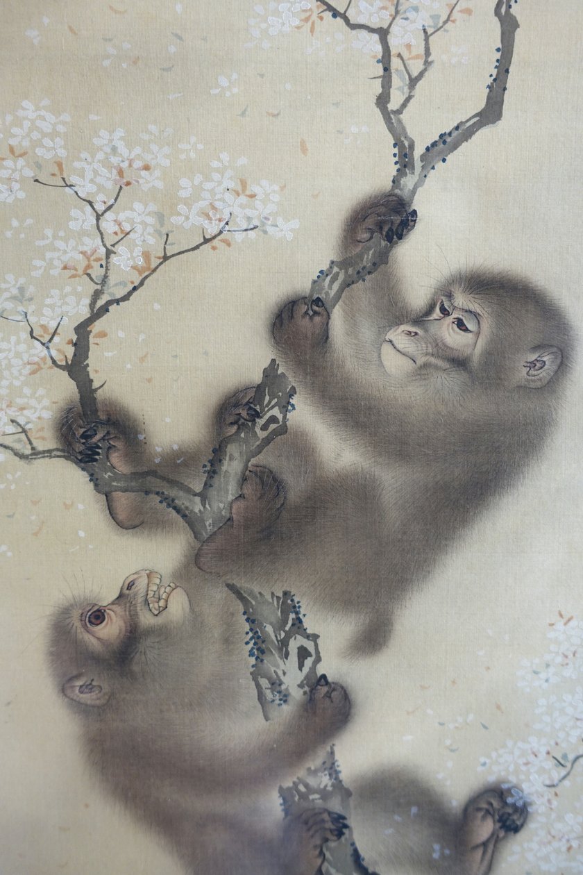 樱花树上的猴子》，2 件中的 1 件，Mori Sosen，日本江户时代，19 世纪早期，绢本水墨设色 - 哈佛大学亚瑟-M-赛克勒博物馆 - DSC01127 作者 森创泉