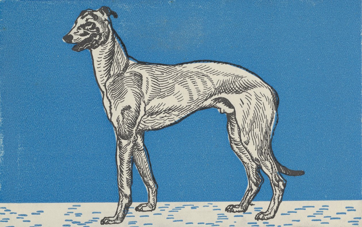 灰狗，1912年。 作者 莫里茨荣格
