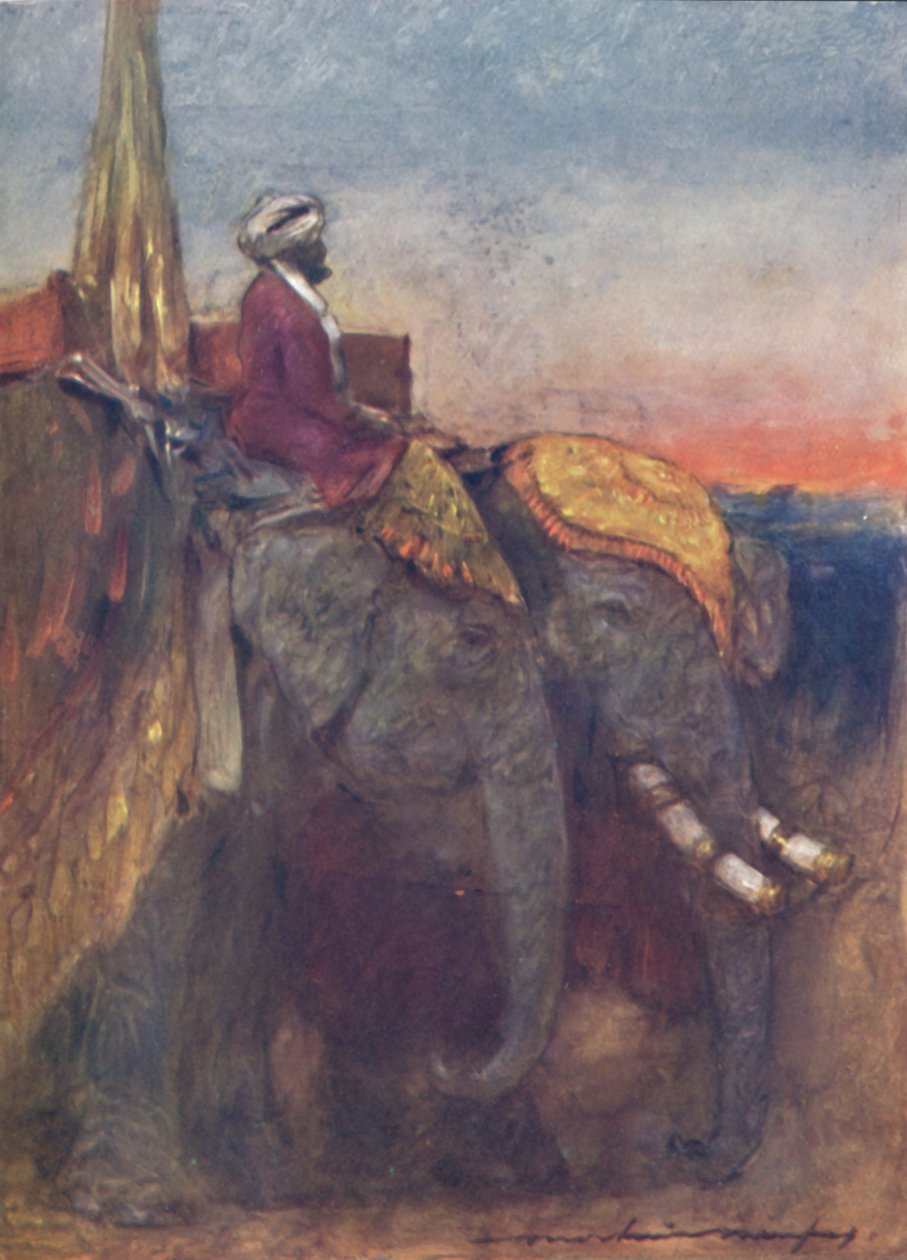 斋浦尔大象》，1903年 作者 莫蒂默·卢丁顿·门佩斯