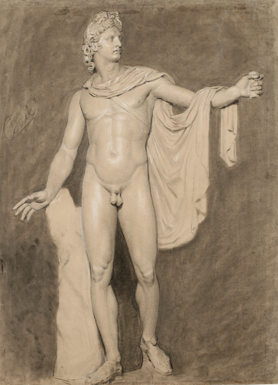 Cast of the Apollo Belvedere (black & white chalk with wash on paper) 作者 莫斯利·丹佛斯（Moseley Danforth）