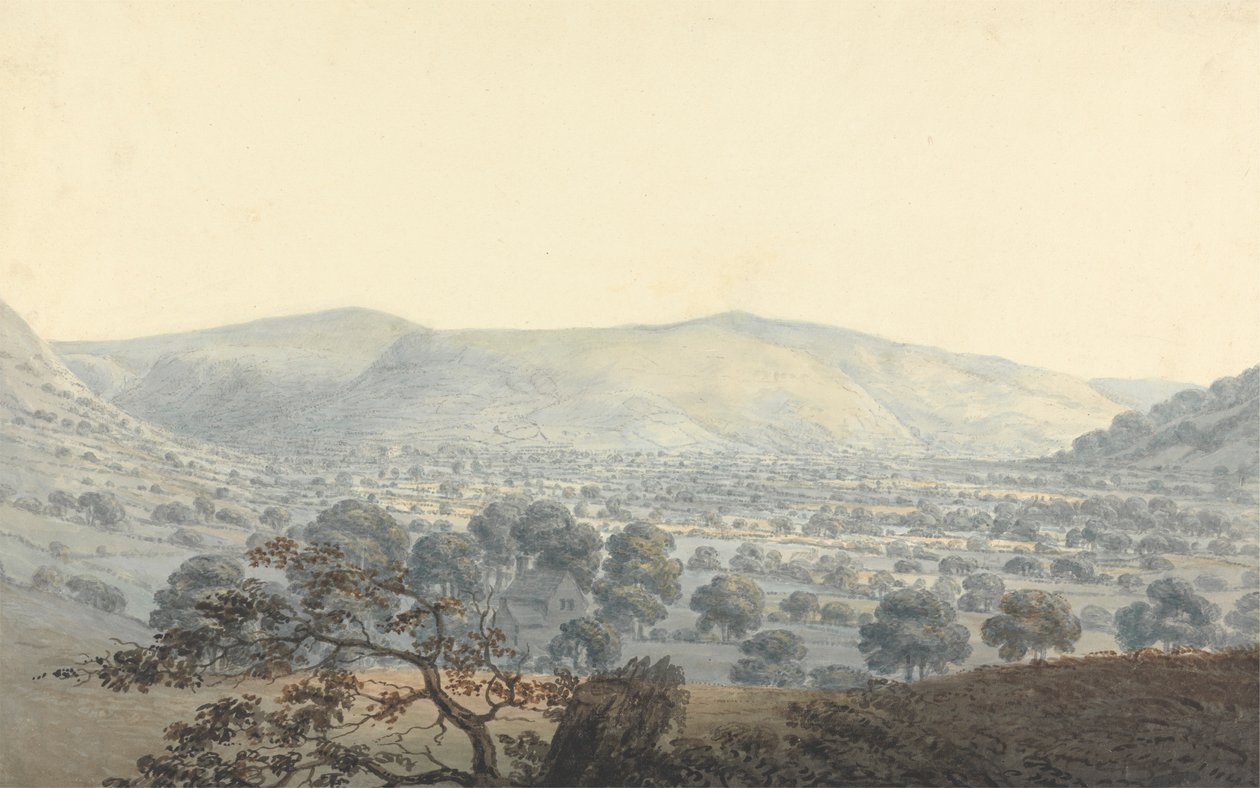 Distant view of Llandrillo   1443420   zh       chinese Successfully Translated  Original: Leucopogon virgatus (Epacridaceae) - Plate 193, Banks Florilegium, c.1771-84 (copperplate engraving on paper) Translat: Leucopogon virgatus (Epacridaceae) - Plate 19 作者 摩西·格里菲斯（Moses Griffith）