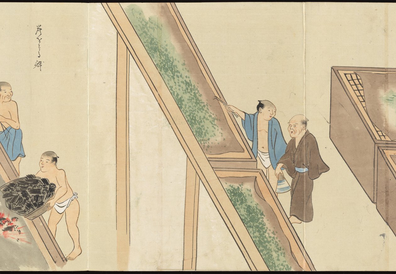 宇治茶叶生产图解 作者 