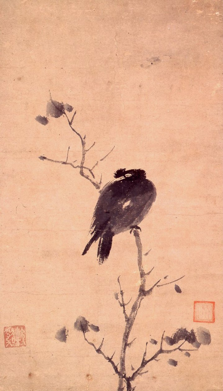 MYNA BIRD 作者 木溪