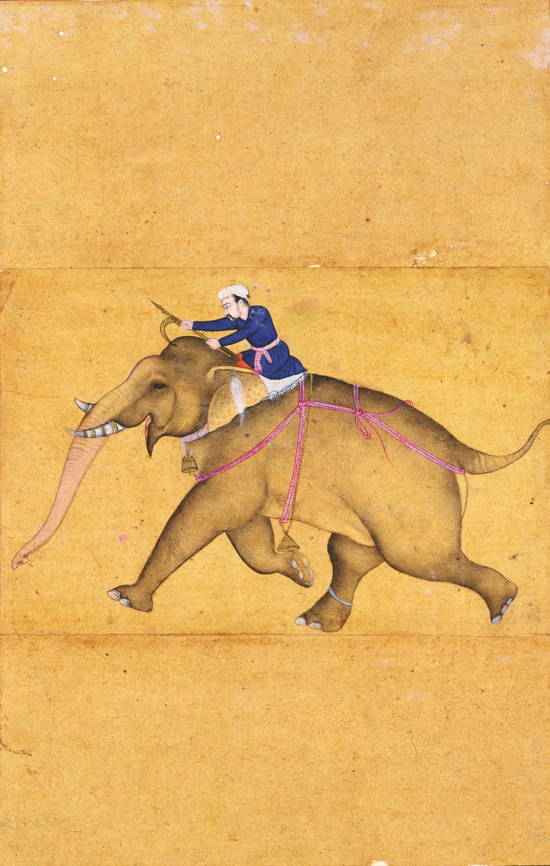 从大型Clive专辑中驾驶大象的Mahout（用纸上的彩色线条画线） 作者 莫卧儿学校