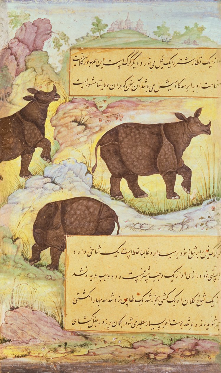 Rhinoceros，来自&39;Baburnama&39;（巴布尔回忆录）的插图1589-90 作者 莫卧儿学校