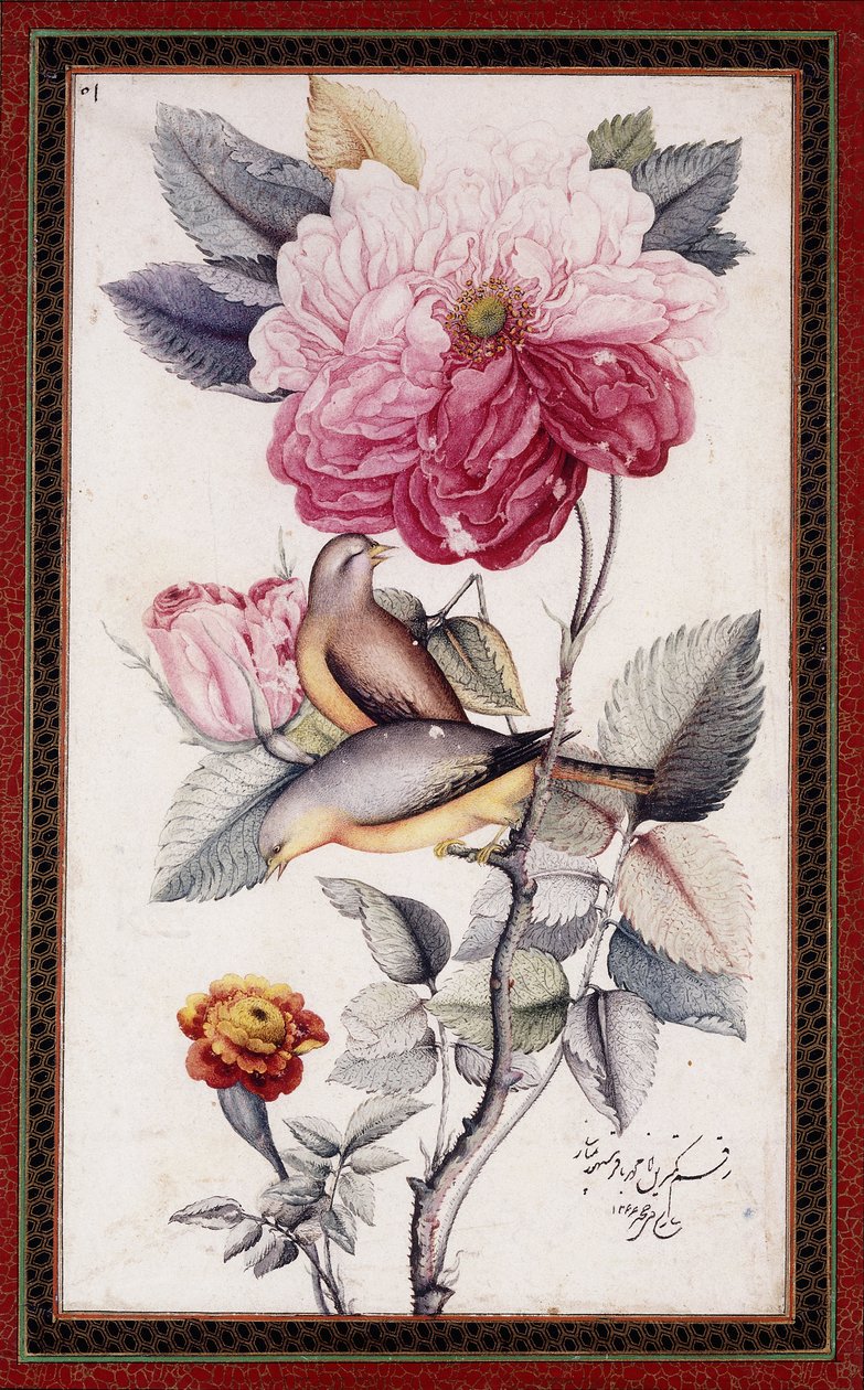 Gul-o Bulbul，约 1849-50 年（纸面水彩画） 作者 穆罕默德·巴吉尔