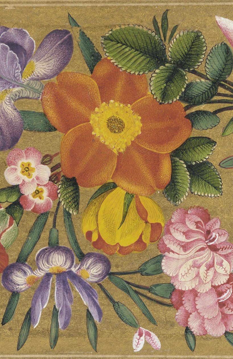 1727年印度圣彼得堡专辑的页面（黄金地上的颜色） 作者 穆罕默德·萨迪克（Muhammad Sadiq）