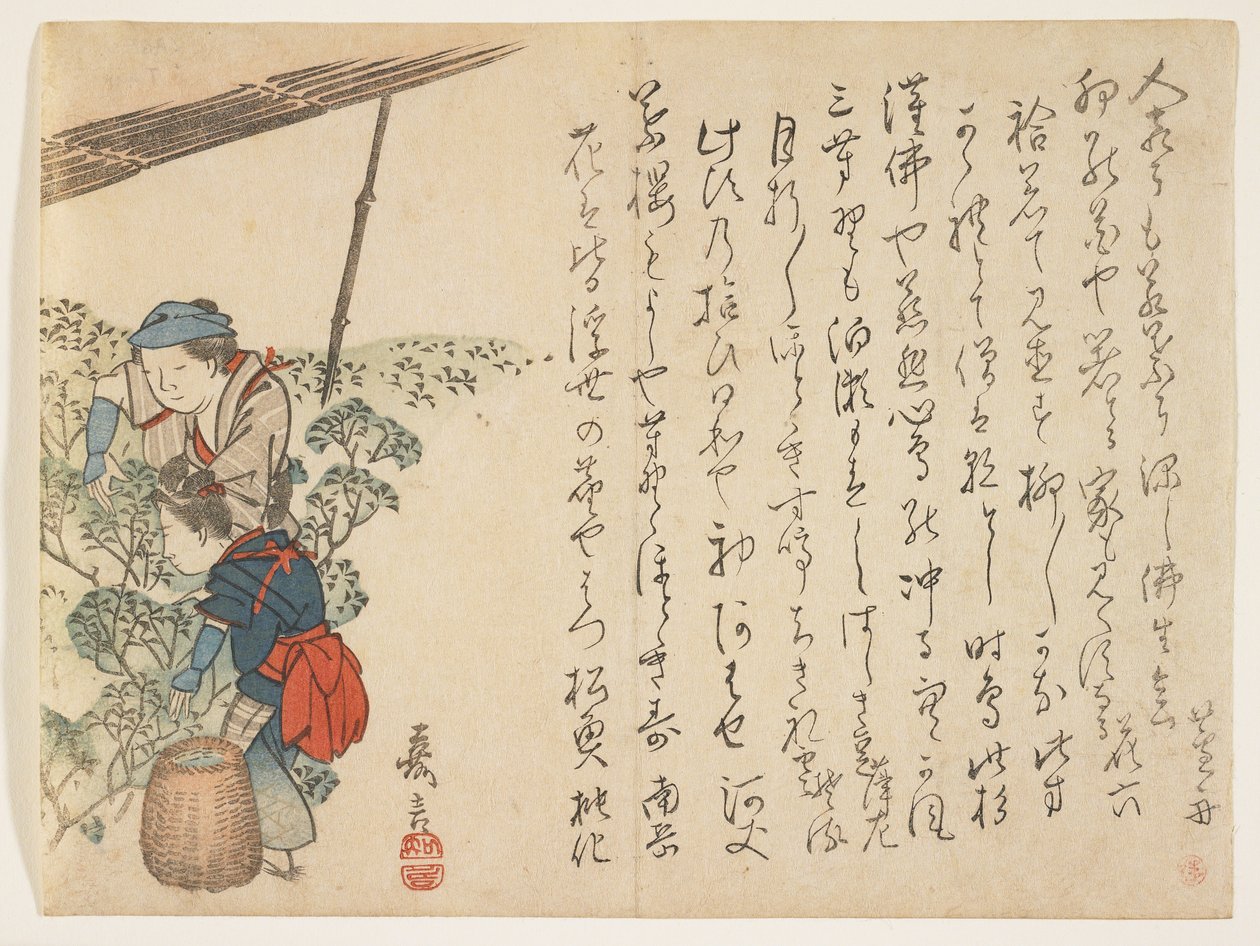 采茶机，c.1830-44（彩色木版画） 作者 村田Kagen