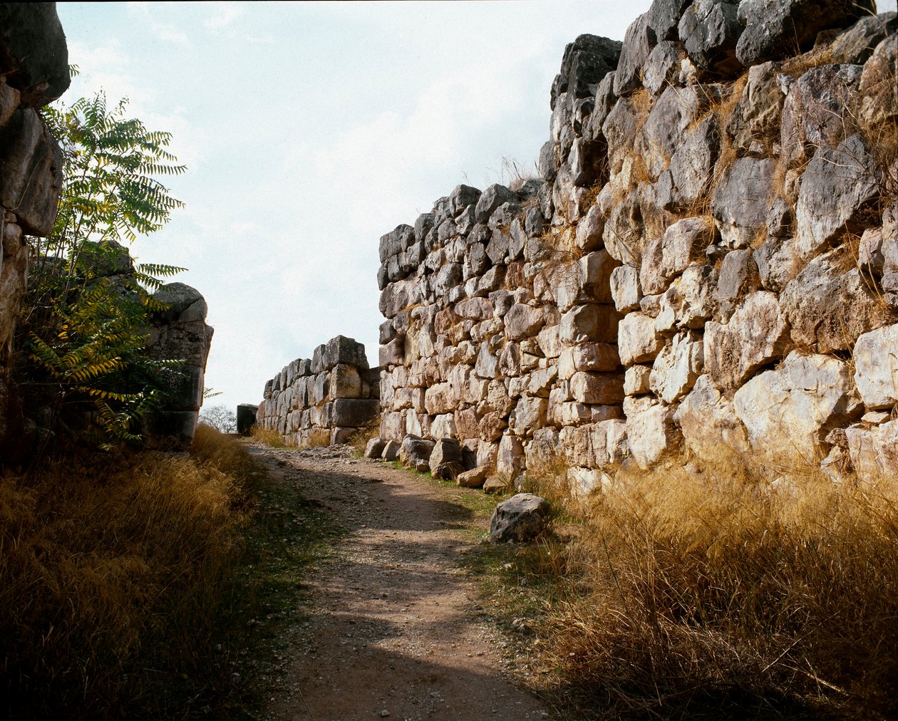 迈锡尼艺术：进入迈锡尼城堡的上层堡垒，提林斯城，约公元前 1200 年。 希腊 作者 迈锡尼人