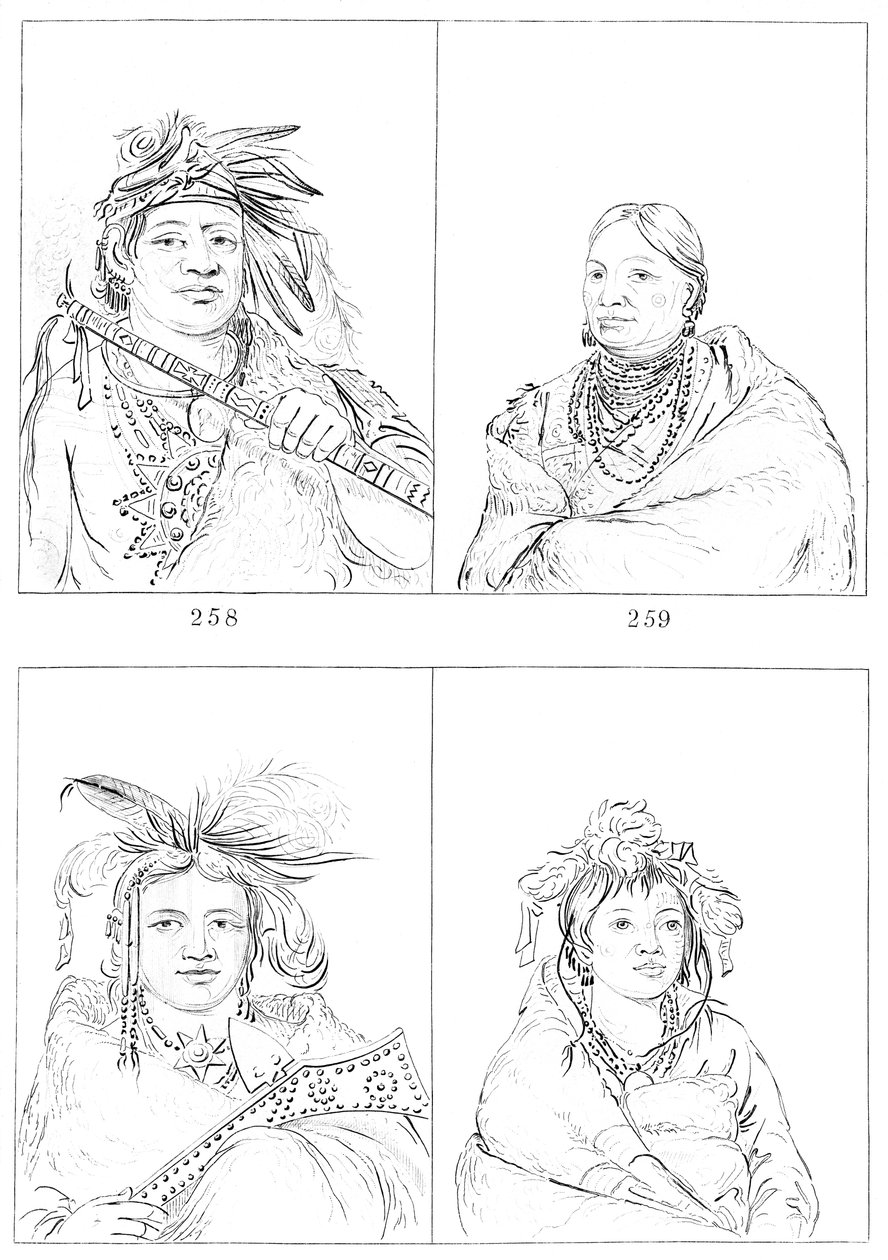 薄荷胺，1841年。 作者 迈尔斯公司
