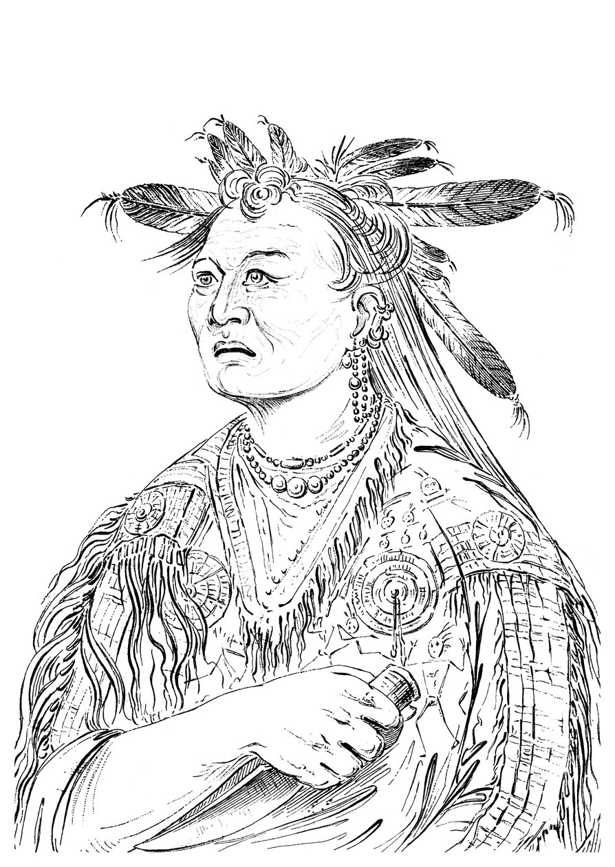 血腥之手，里卡雷部落的首领之一，1841年。 作者 迈尔斯公司