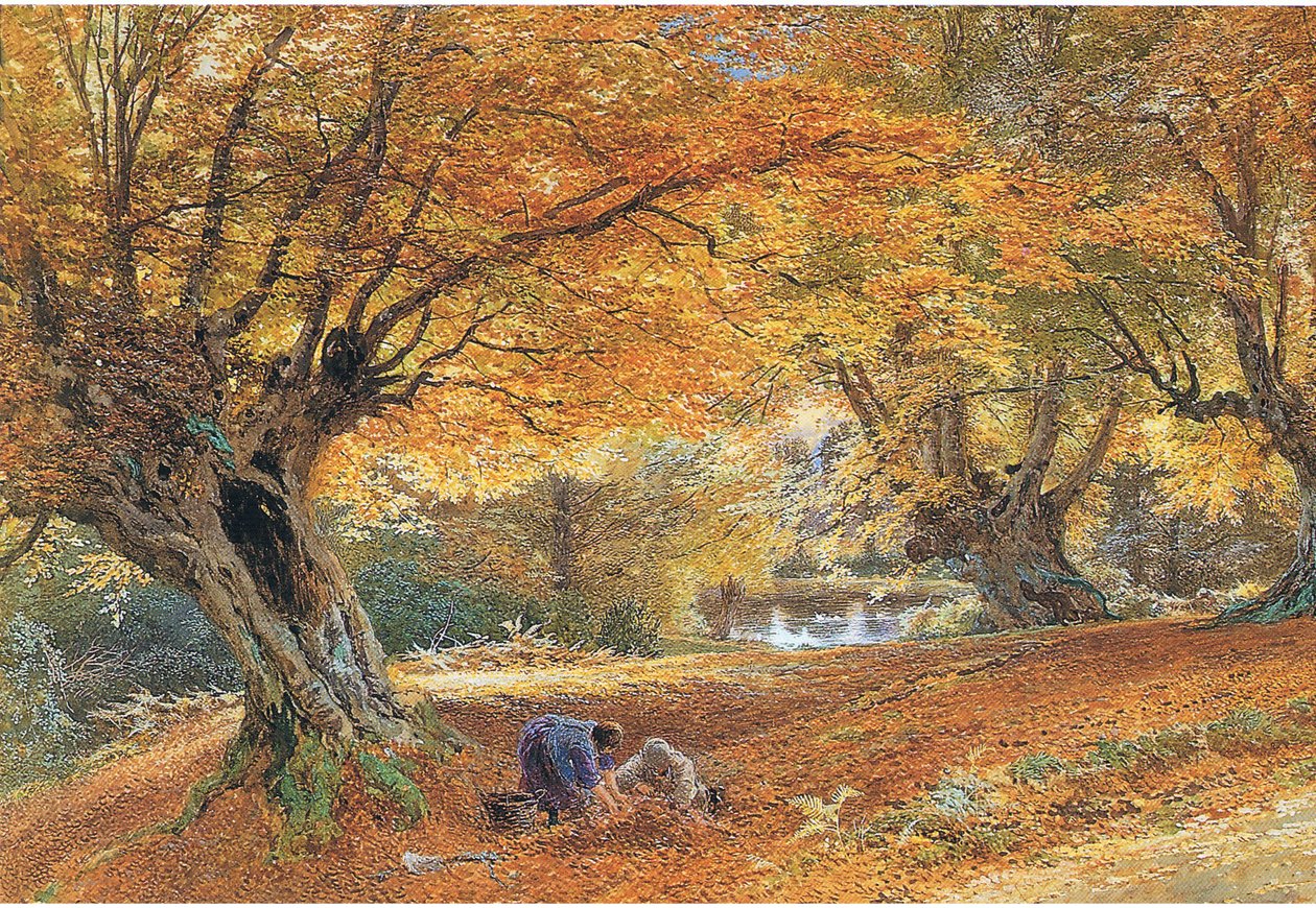 Burnham Beeches 作者 迈尔斯·比克·福斯特