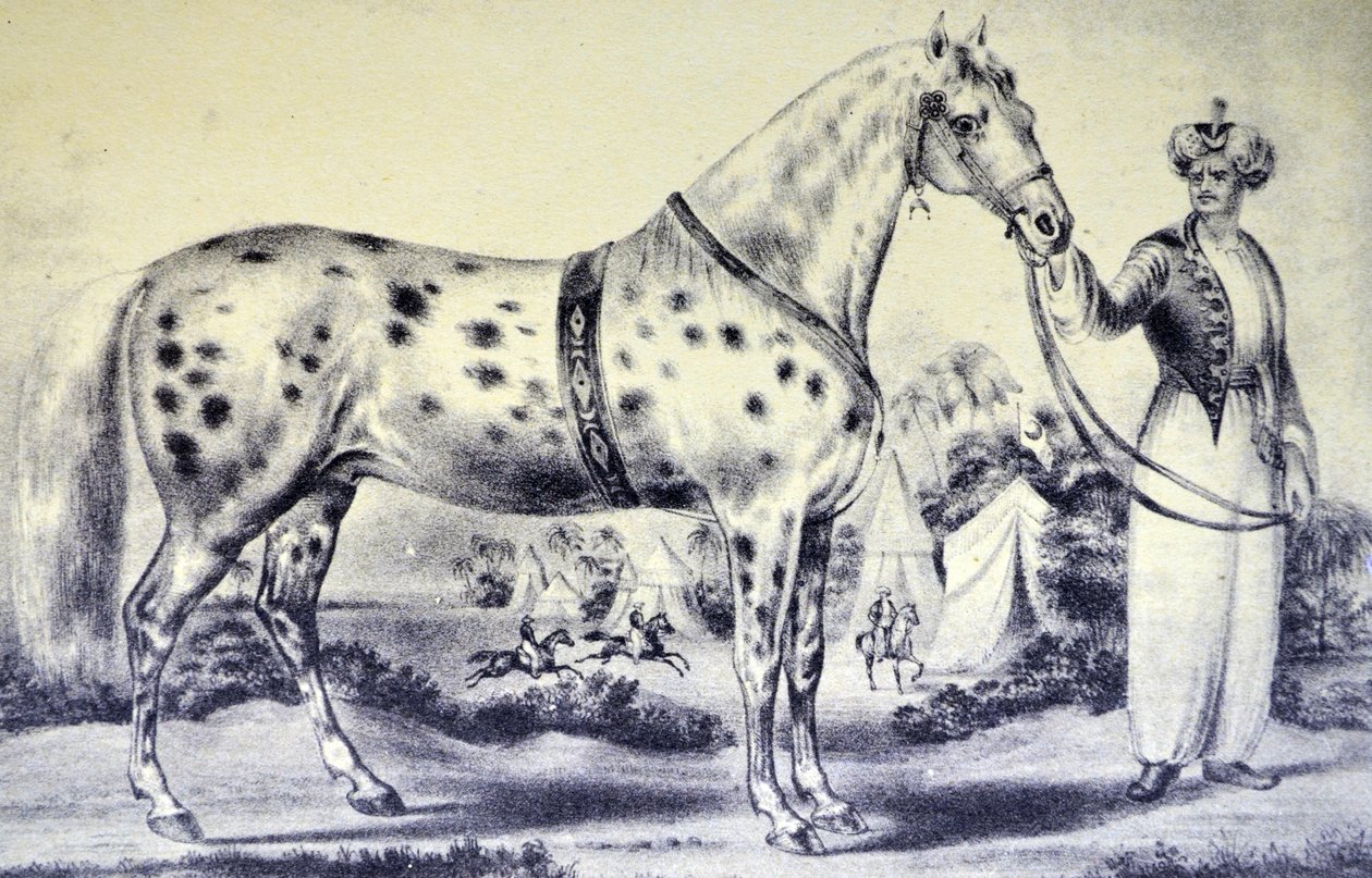 Currier＆Ives插图19世纪。 1840年3月17日纽约B罗威圆形剧场H罗克韦尔马先生的正确相似 作者 N. and Ives，JM库里尔