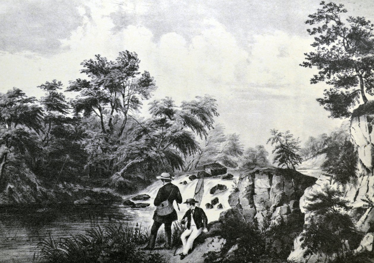 Currier＆Ives插图19世纪。鳟鱼流 作者 N. and Ives，JM库里尔