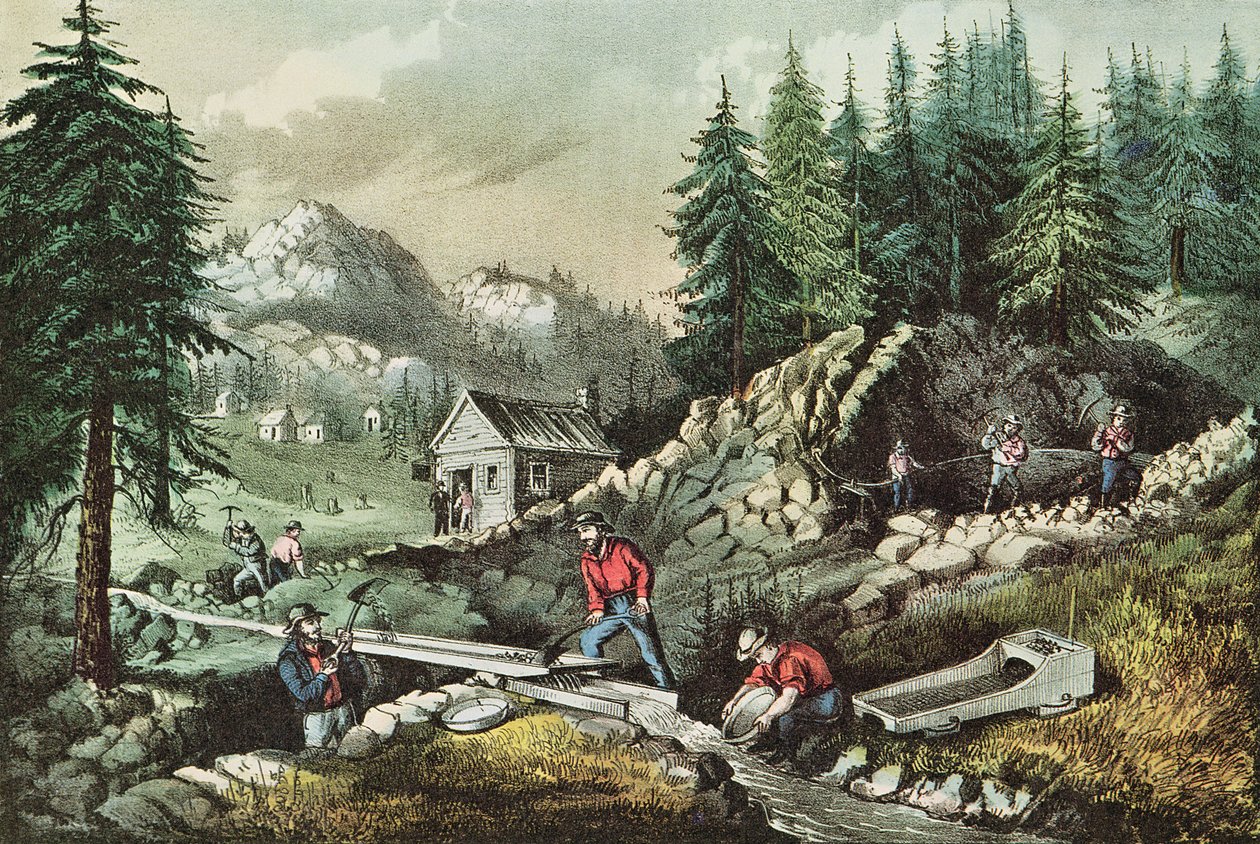 1871年在加利福尼亚州的Goldmining 作者 N. and Ives，JM库里尔