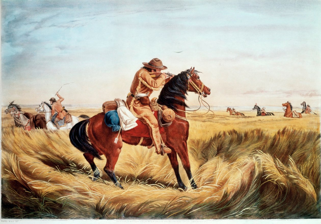  作者 N. 和 Ives JM (1824 95) 库里尔