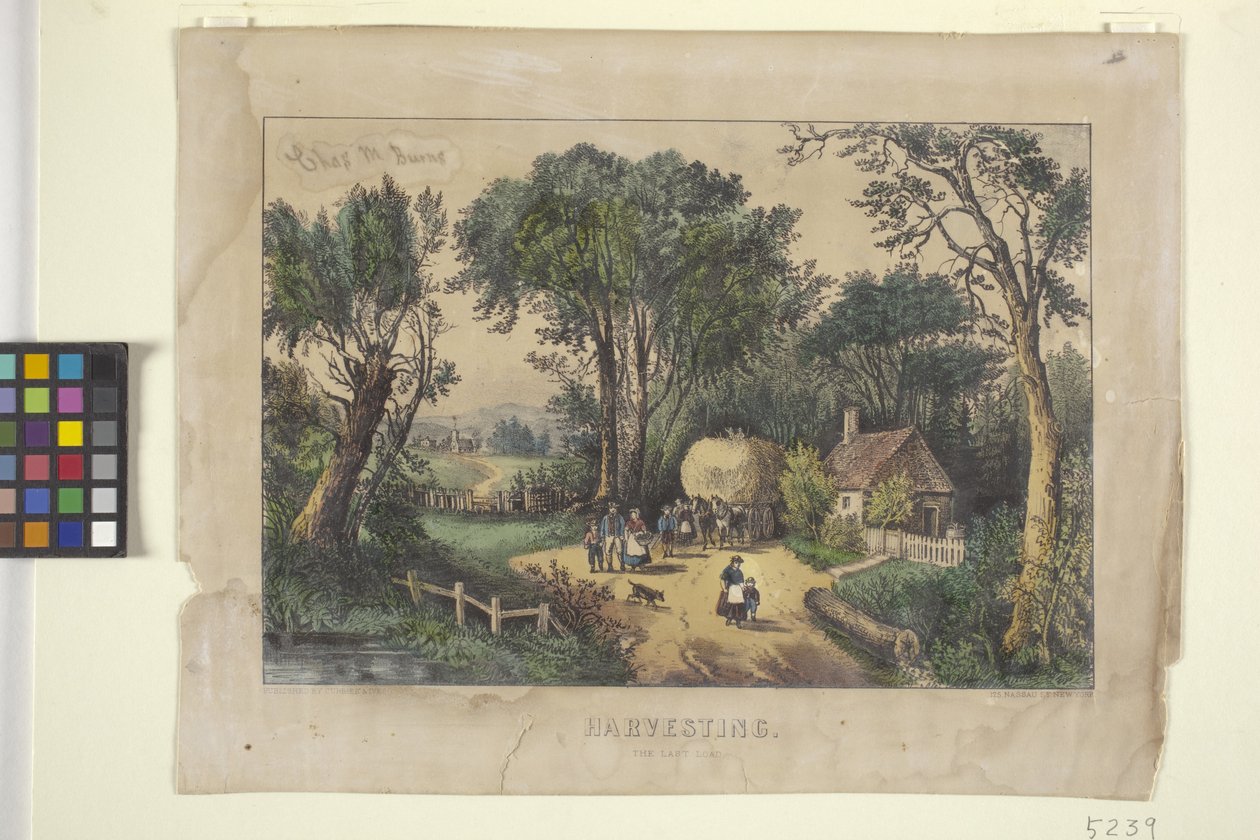 收获。最后一批货物（手绘彩色石版画） 作者 N. 和 Ives JM (1824 95) 库里尔