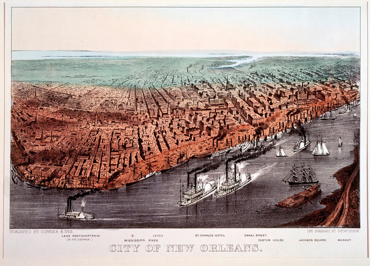  作者 N. 和 Ives JM (1824 95) 库里尔