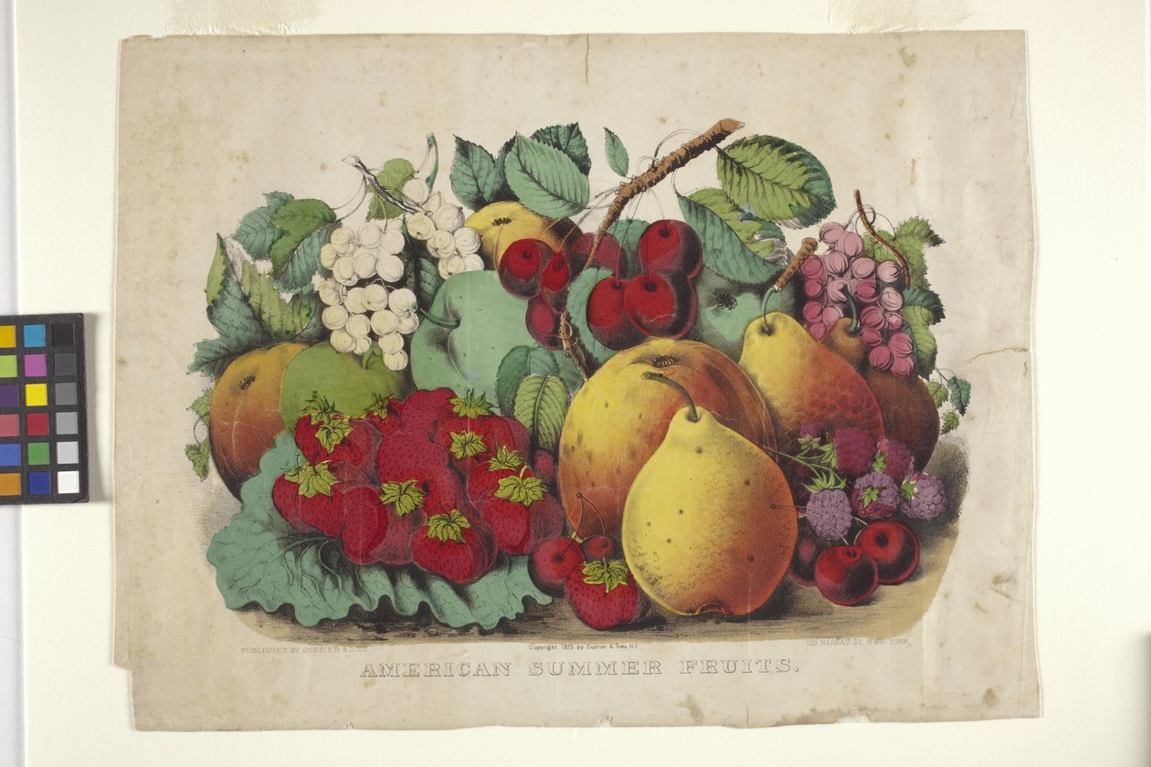 美国夏季水果（手绘石版画） 作者 N. 和 Ives JM (1824 95) 库里尔