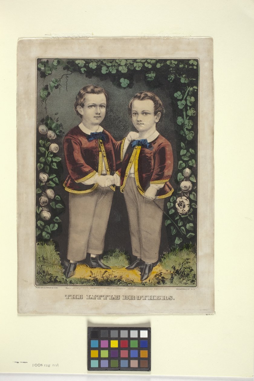 小兄弟》（手绘彩色石版画） 作者 N. 和 Ives JM (1824 95) 库里尔