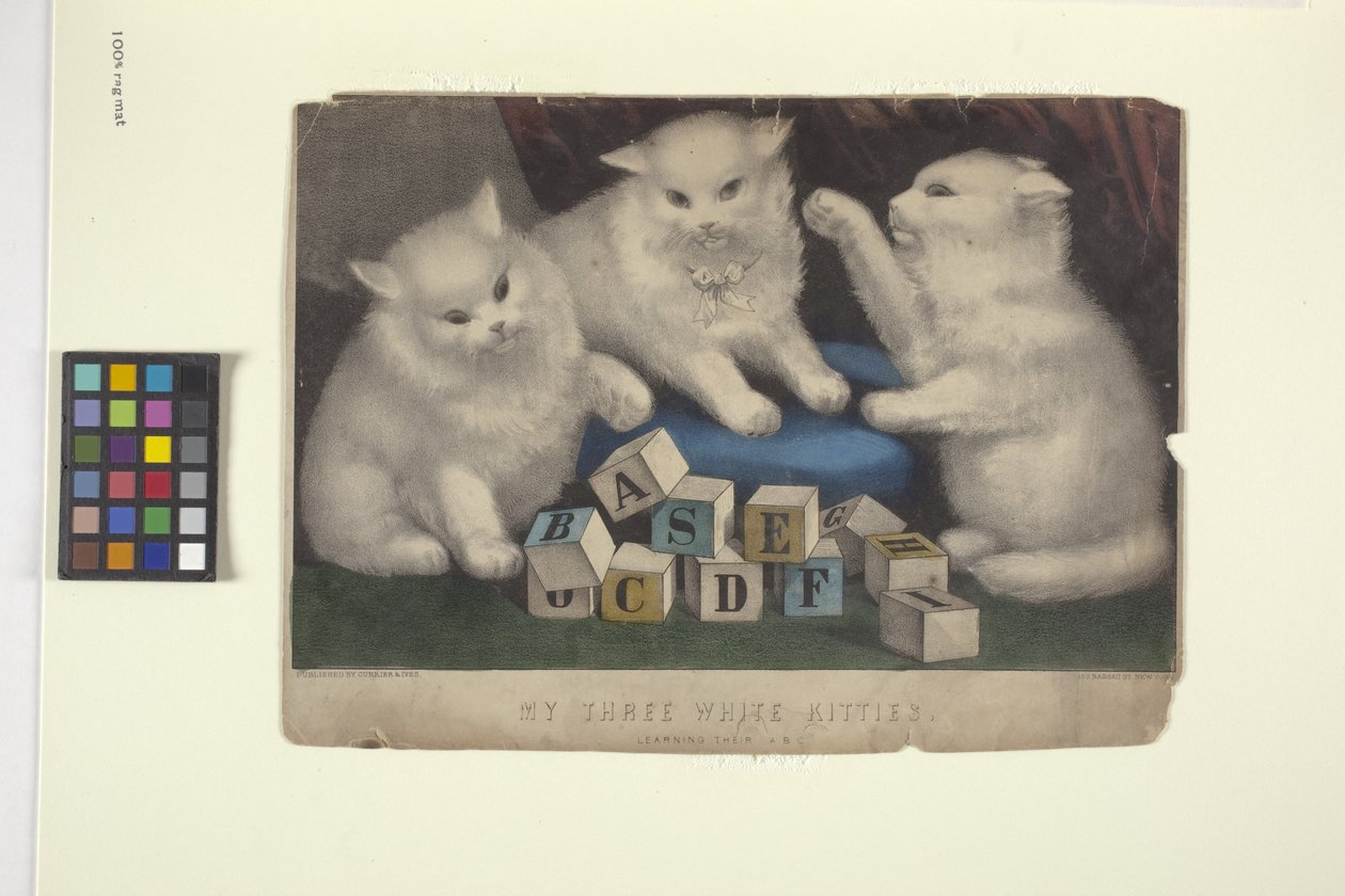 我的三只白色小猫（手绘版画） 作者 N. 和 Ives JM (1824 95) 库里尔