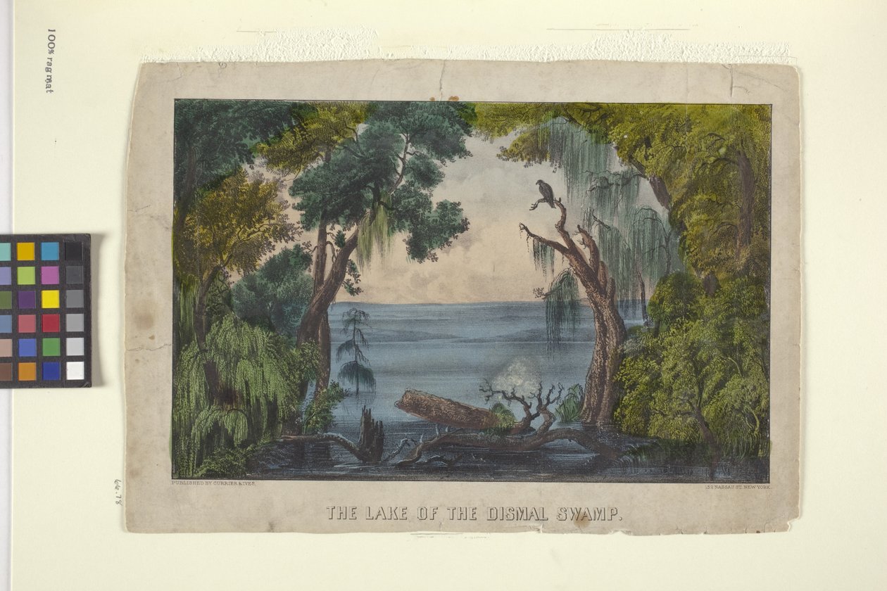 沼泽湖（手绘石版画） 作者 N. 和 Ives JM (1824 95) 库里尔