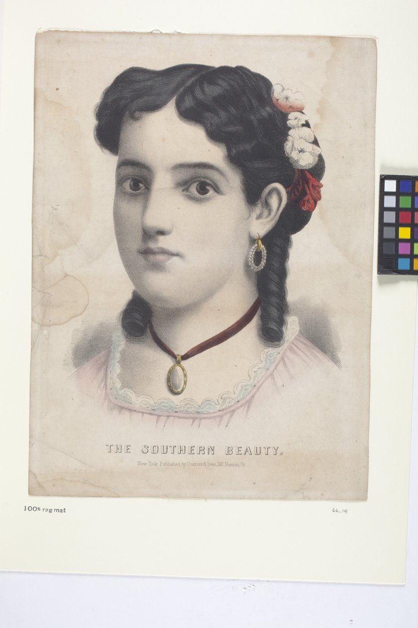 The Southern Beauty (hand-coloured lithograph) 作者 N. 和 Ives JM (1824 95) 库里尔