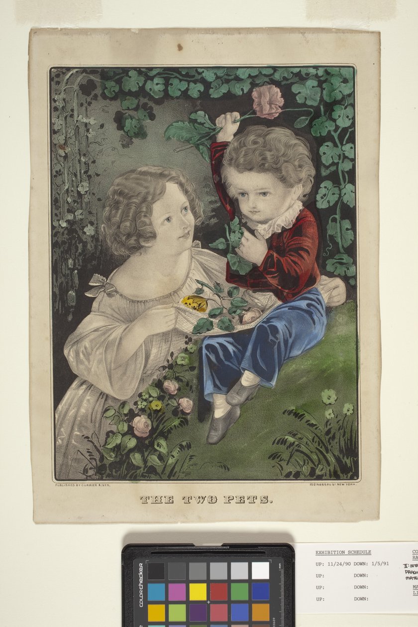两只宠物（手绘石版画） 作者 N. 和 Ives JM (1824 95) 库里尔