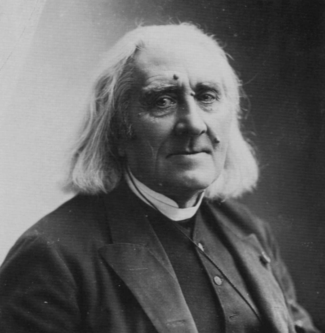 匈牙利作曲家兼钢琴家弗朗兹·李斯特（Franz Liszt），1886年 作者 纳达尔