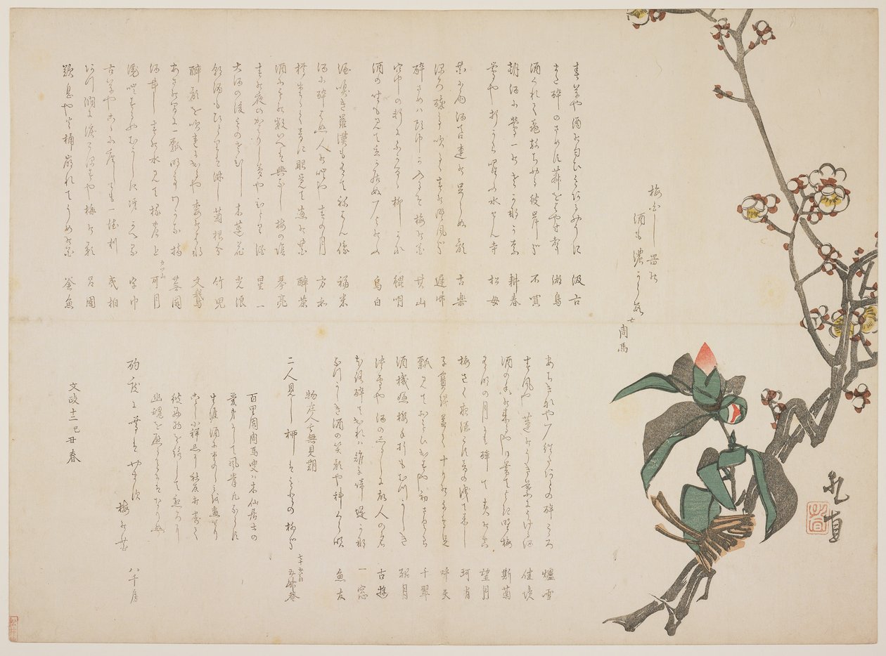 Plum and Camellia Branches，1829（彩色木版画） 作者 长山高空