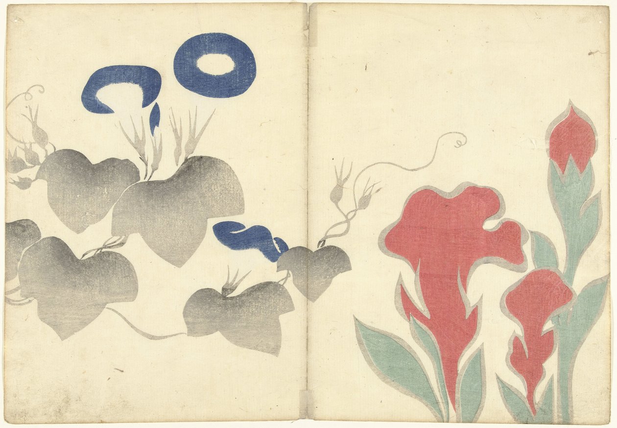 蓝花楹和红花
Korin 的印刷画册（系列名称）
Korin gafu（系列名称） 作者 中村保中