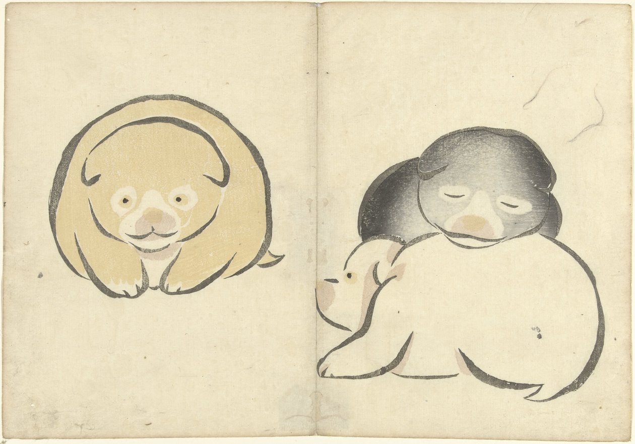 三只小狗
科林的相册（系列名称）
科林的画册（系列名称） 作者 中村保中